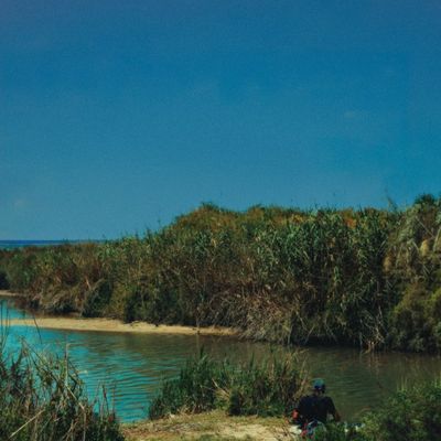 l'ultimo coccodrillo